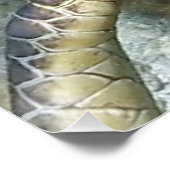 生きたウミガメ ポスター (コーナー)