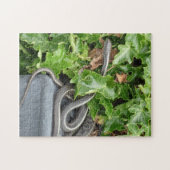 生きたヘビ! それはガーター・ヘビです! ジグソーパズル (横)