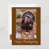 生きた七面鳥のペットの写真感謝祭はがき年 シーズンポストカード (正面/裏面)