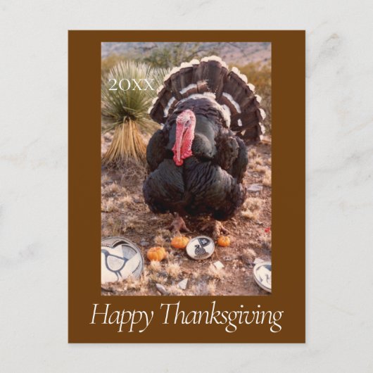 生きた七面鳥のペットの写真感謝祭はがき年 シーズンポストカード (正面)