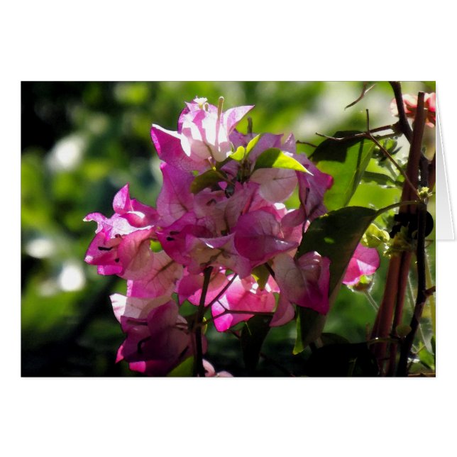 生きた2 (正面横)