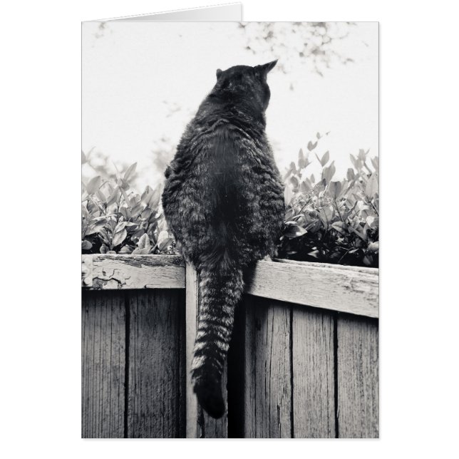 生きているガーゴイル (正面)