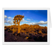 "生きている砂漠の日の出" (正面横)