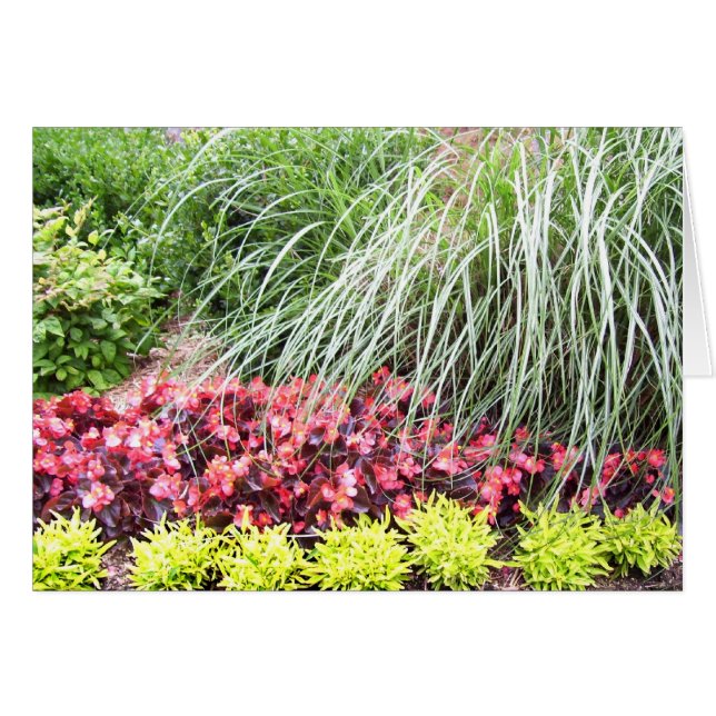 生きている花の空白のなカード (正面横)