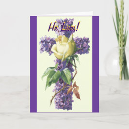 生きてる！ シーズンカード