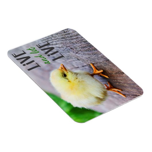 「生きて生きる」ビーガン マグネット (右側)