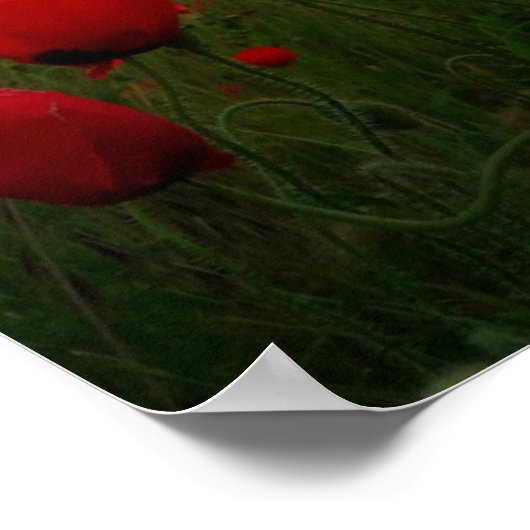 生きて生きる ポスター (角)