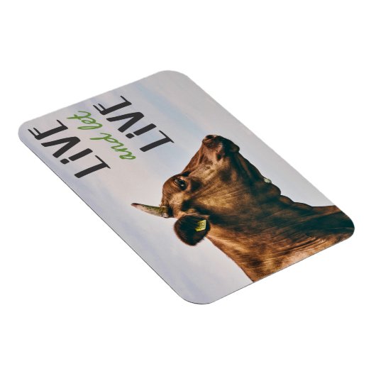 生きて、茶色の牛と一緒に住まわせるポートレートビーガン マグネット (右側)