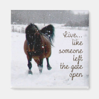 生きる！ マグネット