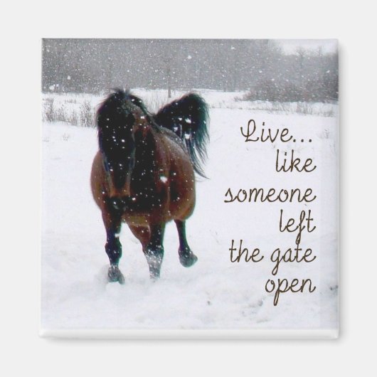 生きる！ マグネット (正面)