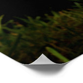 生きる、愛、キック ポスター (角)