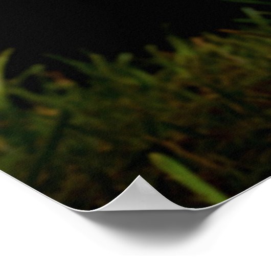 生きる、愛、キック ポスター (角)