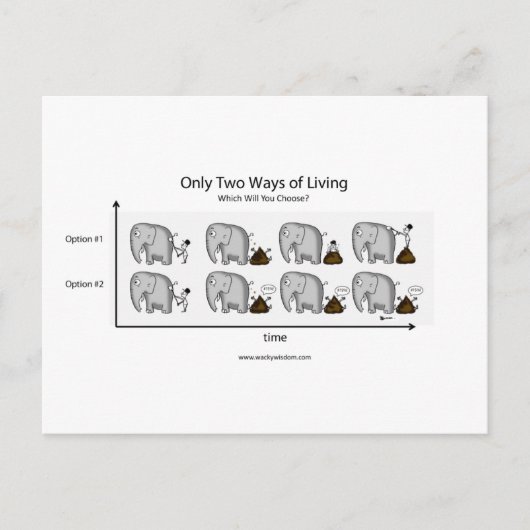 生き方は二つだけだ ポストカード (正面)