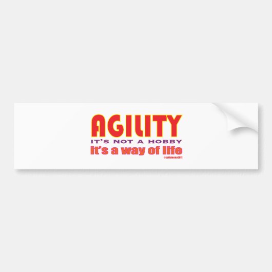 生き方 バンパーステッカー (正面)