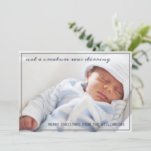 生き物がベビー写真クリスマスを揺さぶっていた シーズンカード (スタンド正面)