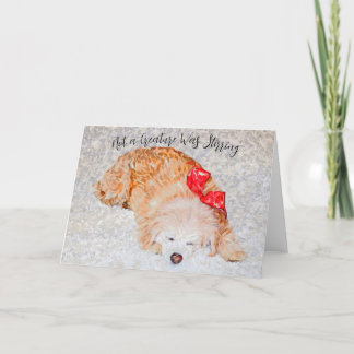 生き物がホリデーカードを動かしていなかった サンキューカード