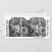 生き物が動いていなかった – ヴィンテージ立体視 (正面)