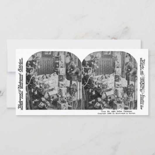 生き物が動いていなかった – ヴィンテージ立体視 (正面)