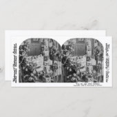 生き物が動いていなかった – ヴィンテージ立体視 (正面/裏面)