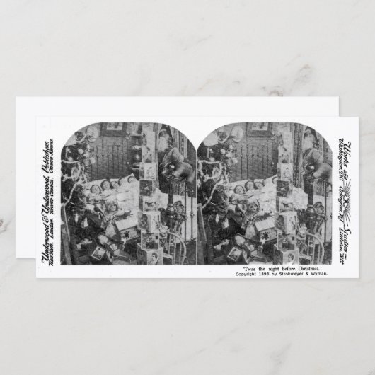 生き物が動いていなかった – ヴィンテージ立体視 (正面/裏面)