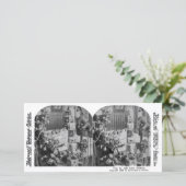 生き物が動いていなかった – ヴィンテージ立体視 (スタンド正面)