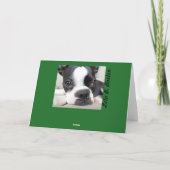 生き物が動いて…カ空白のード シーズンカード (裏面)