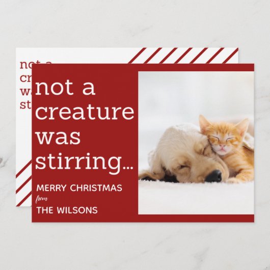 生き物が赤い写真のクリスマスをかき混ぜていなかった 案内状 (正面/裏面)