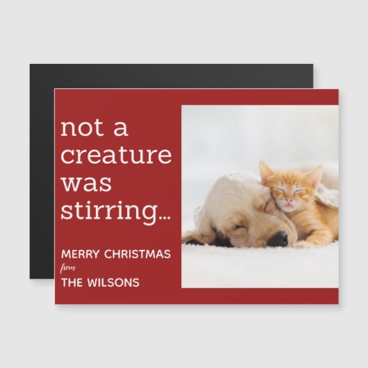 生き物が赤い写真のクリスマスをかき混ぜているわけではない  (正面/裏面)