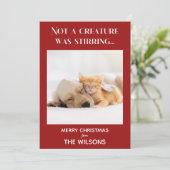 生き物が赤い写真のクリスマスをかき混ぜているわけではない  招待状 (スタンド正面)