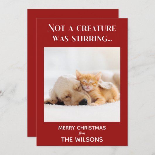 生き物が赤い写真のクリスマスをかき混ぜているわけではない  招待状 (正面/裏面)