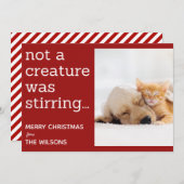 生き物が赤い写真のクリスマスを動かしていなかった シーズンカード (正面/裏面)