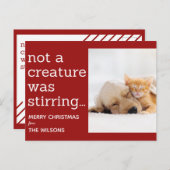 生き物が赤い写真のクリスマスを動かしていなかった ポストカード (正面/裏面)