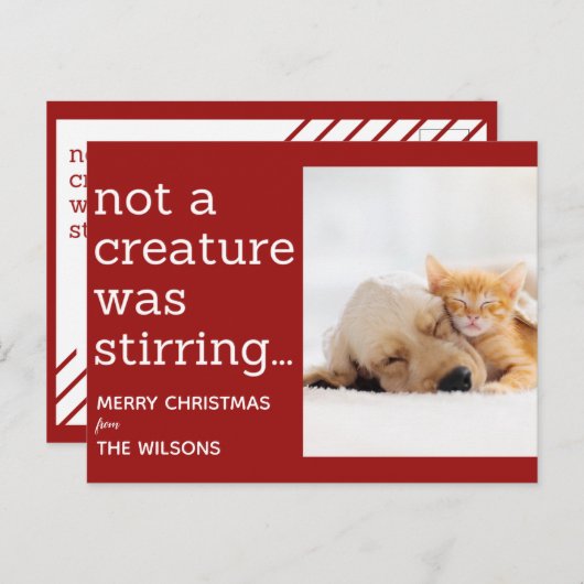 生き物が赤い写真のクリスマスを動かしていなかった ポストカード (正面/裏面)