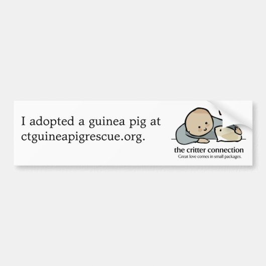 生き物のつながりのバンパーステッカー#1 バンパーステッカー (正面)