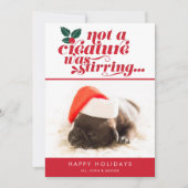 生き物は一匹も動かなかった |ペットのクリスマスフォト シーズンカード (正面)