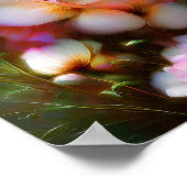 生き生きとしたピンクのバラ ポスター (角)