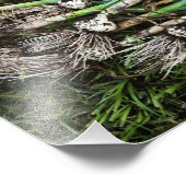 生で引いたニンニクの写真プリント フォトプリント            (角)