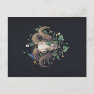 生と死の写真シリーズ：羊の頭蓋骨 ポストカード