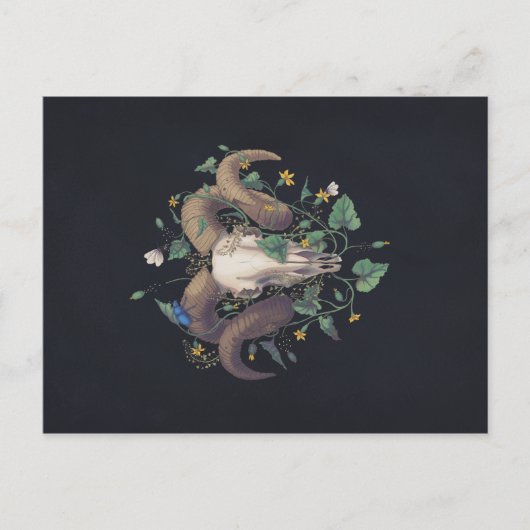 生と死の写真シリーズ：羊の頭蓋骨 ポストカード (正面)