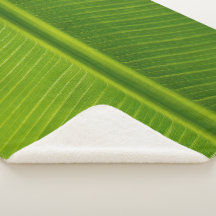 生のバナナの葉のパターン