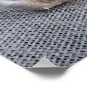 生の卵とニンニクとスパイスをキッチンに ポスター (角)