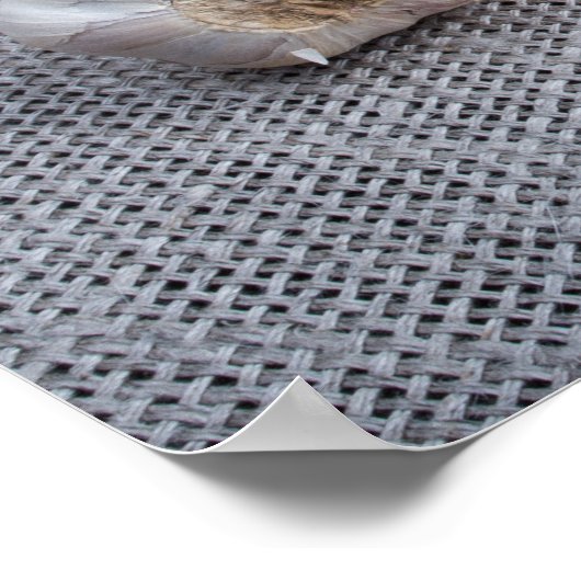 生の卵とニンニクとスパイスをキッチンに ポスター (角)