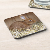 生の干し草のかわいい茶色のウサギ コースター (左側)