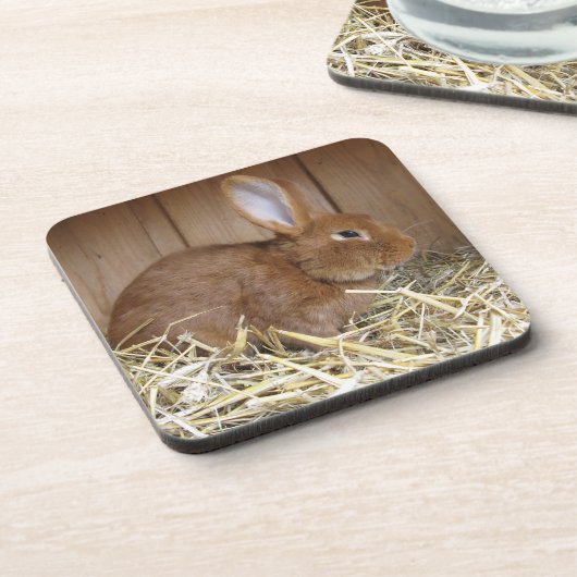 生の干し草のかわいい茶色のウサギ コースター (左側)