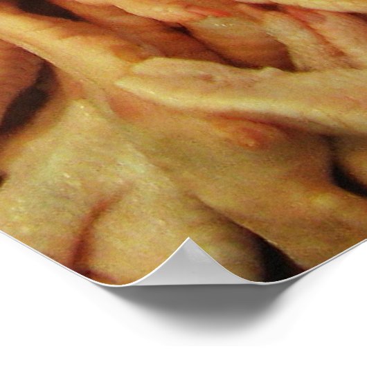 生の鶏の足 ポスター (角)