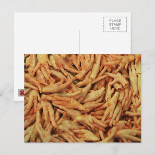 生の鶏の足 ポストカード (正面/裏面)