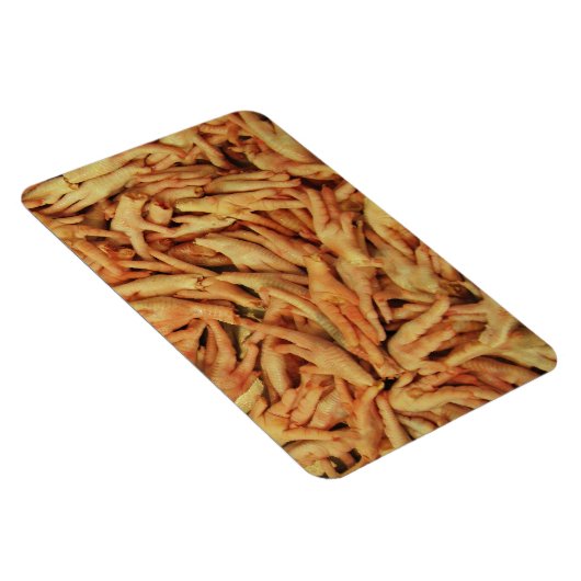 生の鶏の足 マグネット (右側)