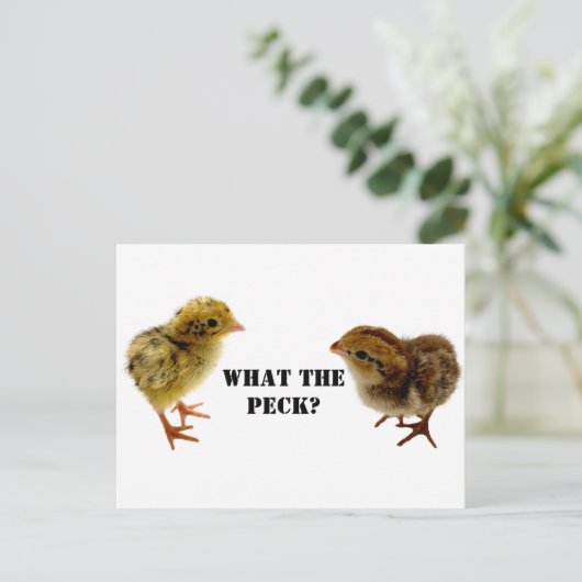 生まれたてのコトリニクスウズラとアメリカウズラの幼鳥 ポストカード (スタンド正面)