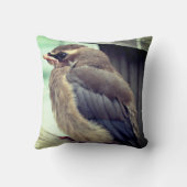 生まれたてのベビーシダーワックスウィングバード クッション (裏面)