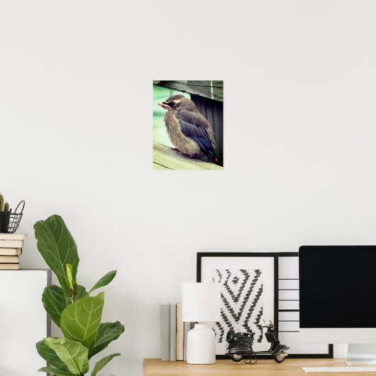 生まれたてのベビーシダーワックスウィングバード ポスター (ホームオフィス)